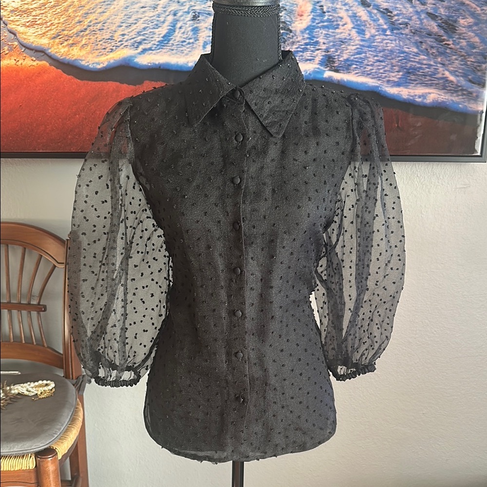 Sheer Black Polka Dot Blouse